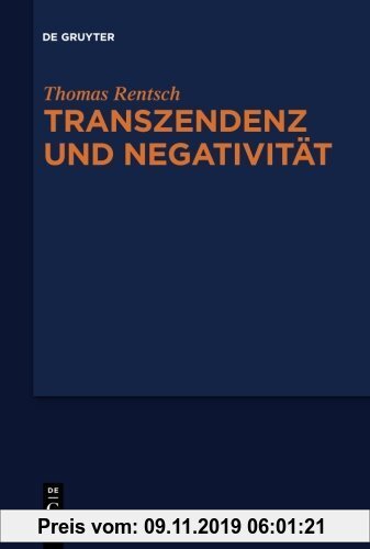 Gebr. - Transzendenz und Negativität: Religionsphilosophische und ästhetische Studien