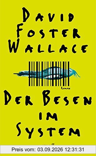 Der Besen im System: Roman