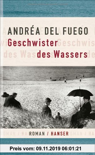 Gebr. - Geschwister des Wassers: Roman