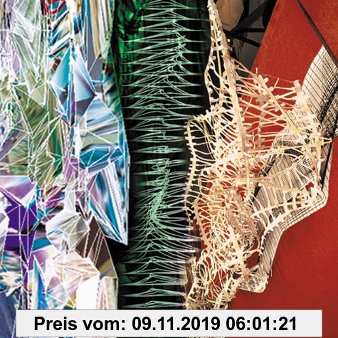 Gebr. - The Weight of the Image: Teaching Design and Computing in Architecture: Masterclass NAi 1999