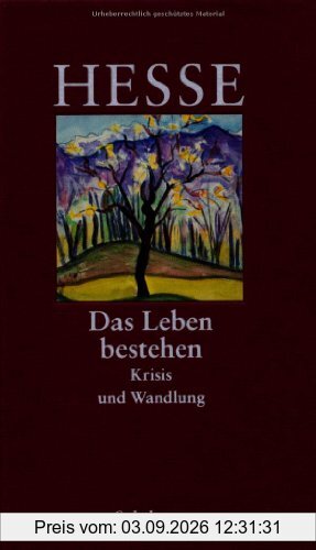 Das Leben bestehen. Krisis und Wandlung