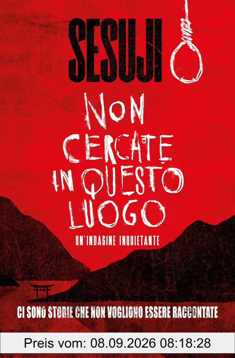 Non cercate in questo luogo (Nuova narrativa Newton)