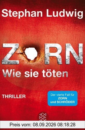 Zorn 4 - Wie sie töten: Thriller