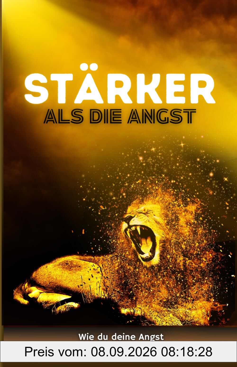 Jugendliche mit Angststörung: Stärker als die Angst! Wie du deine Angst annehmen, verstehen und bewältigen kannst. (Ratgeber für Teenager jungs, Band 3)