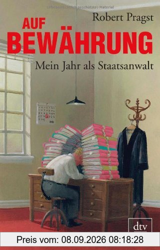 Auf Bewährung: Mein Jahr als Staatsanwalt