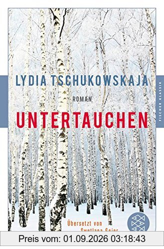 Untertauchen: Roman