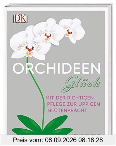 Orchideen-Glück: Mit der richtigen Pflege zur üppigen Blütenpracht