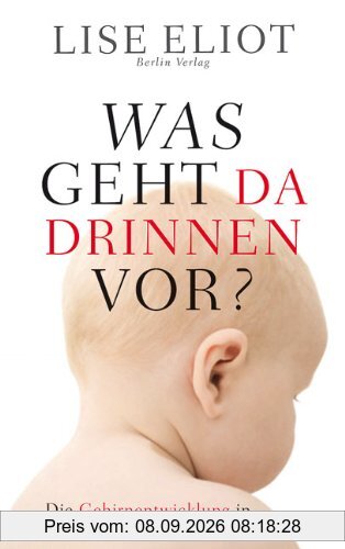 Was geht da drinnen vor?: Die Gehirnentwicklung in den ersten fünf Lebensjahren
