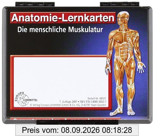 Anatomie-Lernkarten. Die menschliche Muskulatur: Anatomie, Funktion, Innervation