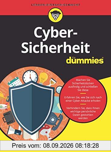 Cyber-Sicherheit für Dummies