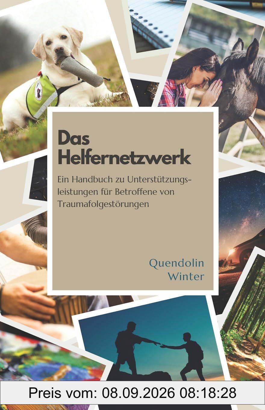 Das Helfernetzwerk: Ein Handbuch zu Unterstützungsleistungen für Betroffene von Traumafolgestörungen