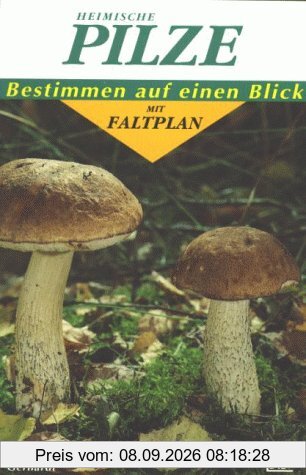Heimische Pilze. Bestimmen auf einen Blick mit Faltplan