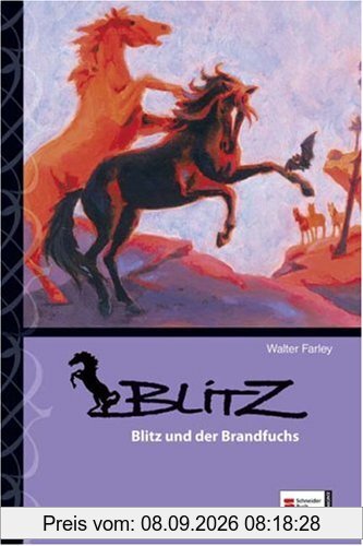 Blitz, Band 08: Blitz und der Brandfuchs