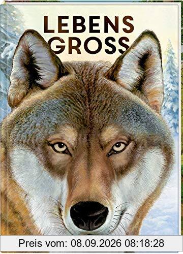Lebensgroß: Tiere des Waldes (Nature Zoom)