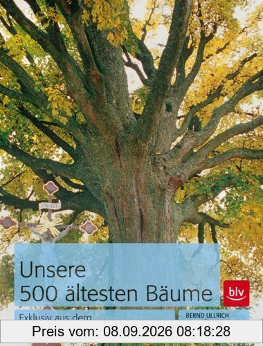 Unsere 500 ältesten Bäume: Exklusiv aus dem Deutschen Baumarchiv