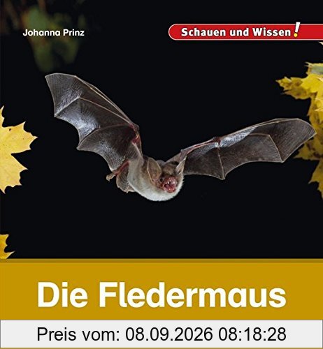 Die Fledermaus: Schauen und Wissen!