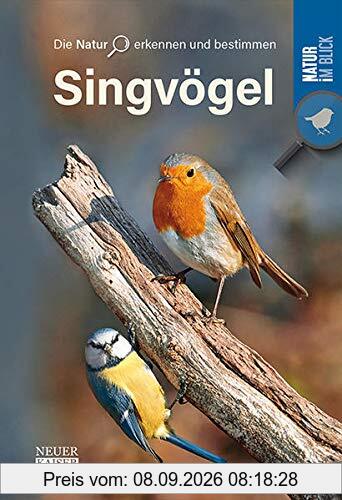 Singvögel: Die Natur erkennen und bestimmen - Natur im Blick