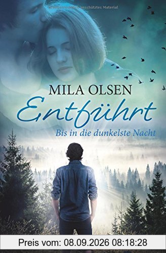 Entführt - Bis in die dunkelste Nacht (Louisa und Brendan, Band 2)