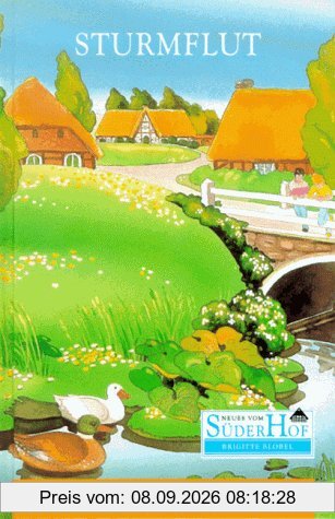 Neues vom Süderhof, Bd.5, Sturmflut
