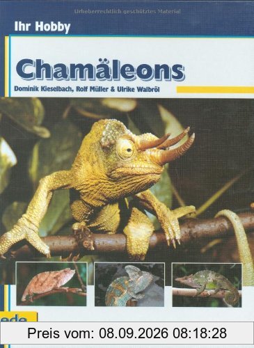 Chamäleons, Ihr Hobby