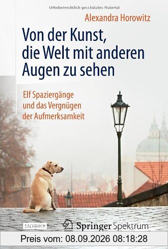 Von der Kunst, die Welt mit anderen Augen zu sehen: Elf Spaziergänge und das Vergnügen der Aufmerksamkeit