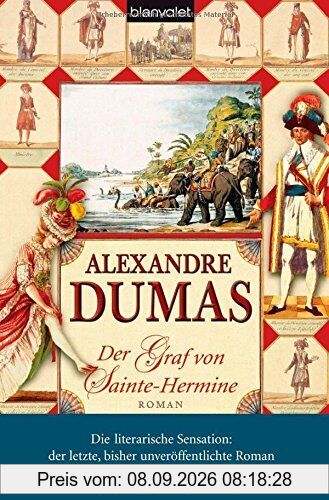 Der Graf von Sainte-Hermine: Roman