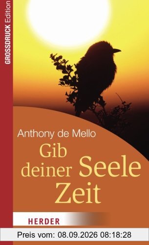 Gib deiner Seele Zeit: Inspiration für jeden Tag (HERDER spektrum)
