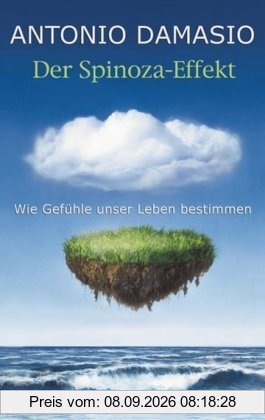 Der Spinoza-Effekt: Wie Gefühle unser Leben bestimmen