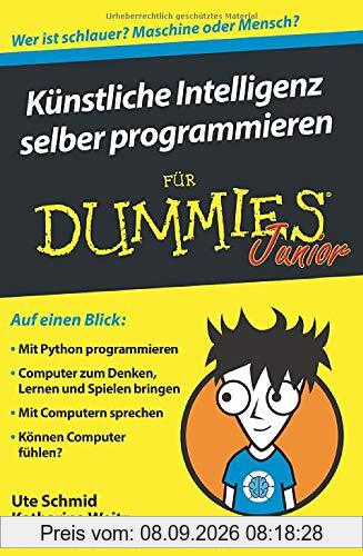 Künstliche Intelligenz selber programmieren für Dummies Junior