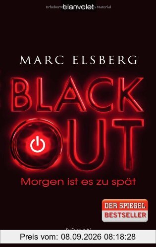 BLACKOUT - Morgen ist es zu spät: Roman