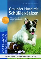 Gesunder Hund mit Schüßler-Salzen: Mineralien für ein langes Hundeleben