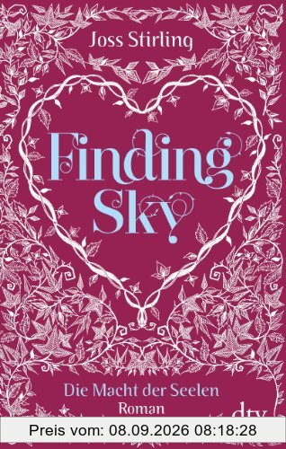 Finding Sky Die Macht der Seelen 1: Roman