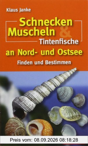 Schnecken, Muscheln & Tintenfische an Nord- und Ostsee: Finden und Bestimmen
