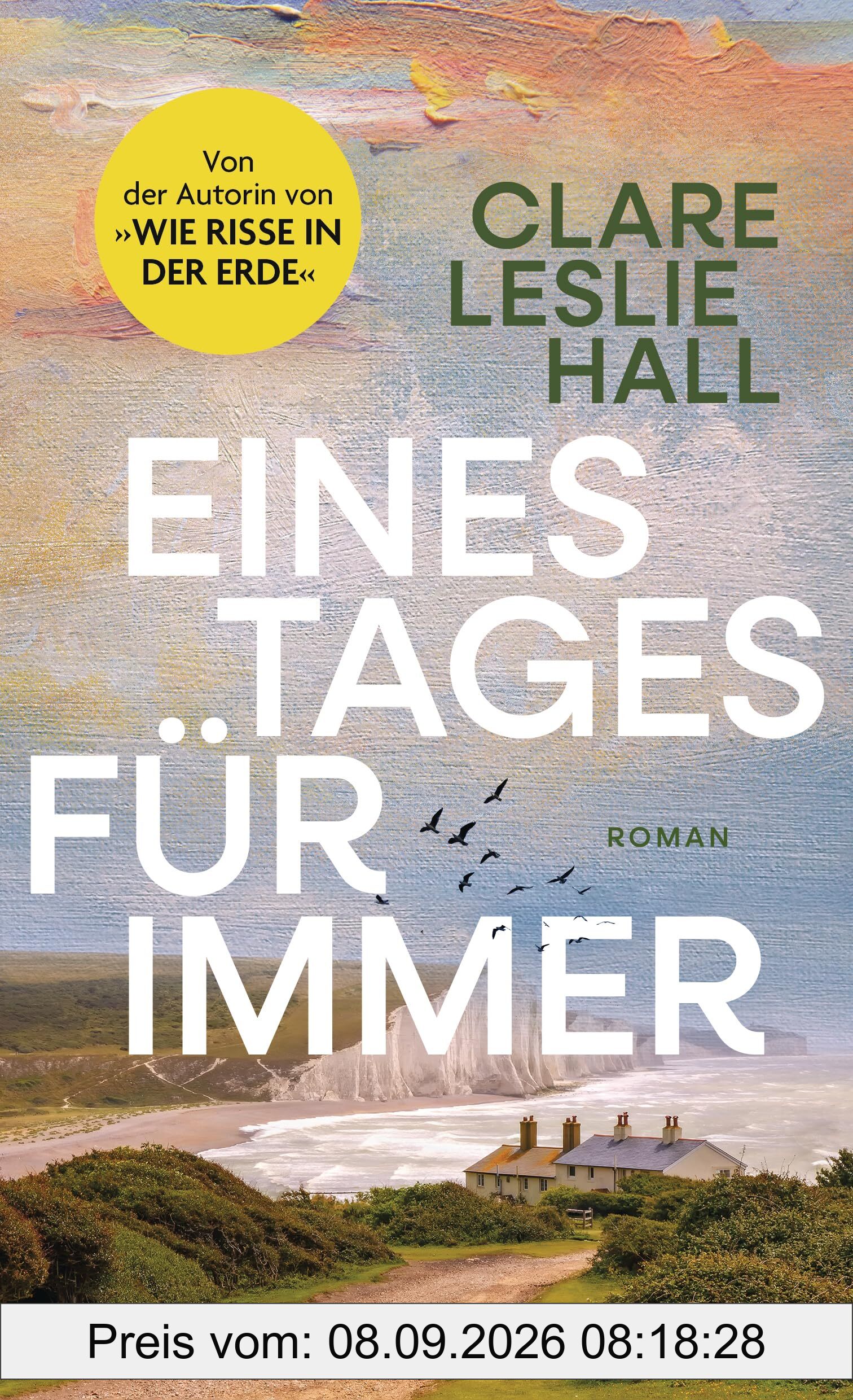Eines Tages für immer: Roman - Der internationale Bestseller der Autorin von »Wie Risse in der Erde« in neuer Ausstattung