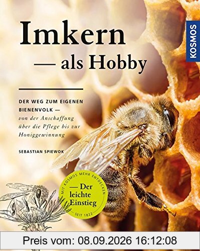 Imkern als Hobby: Der Weg zum eigenen Bienenvolk