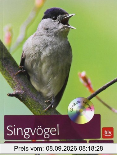 Singvögel: Vorkommen, Lebensweise, Gesang