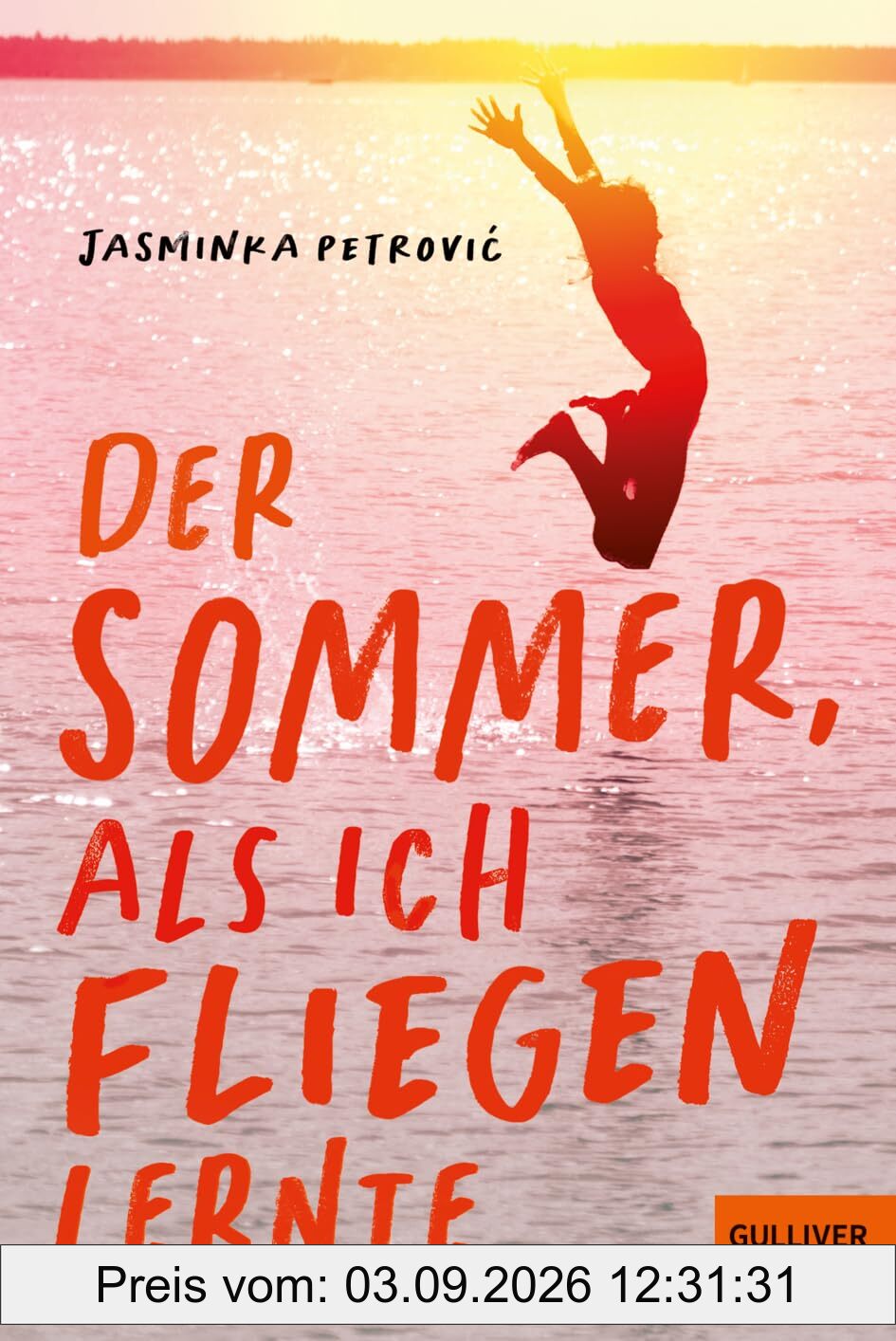 Der Sommer, als ich fliegen lernte