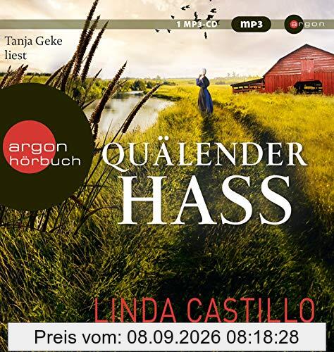 Quälender Hass (Kate Burkholder ermittelt, Band 11)