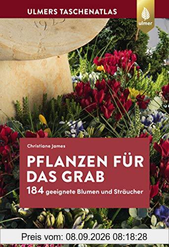 Pflanzen für das Grab: 184 geeignete Blumen und Sträucher