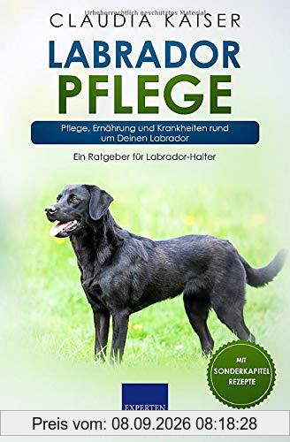 Labrador Pflege: Pflege, Ernährung und Krankheiten rund um Deinen Labrador (Labrador Band, Band 3)