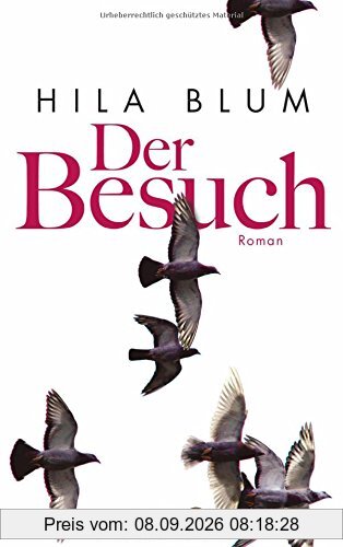 Der Besuch: Roman