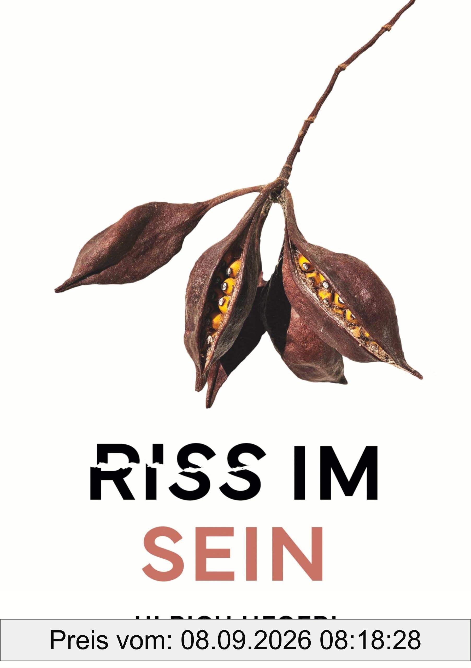Riss im Sein: Ein aufwühlender Gesellschaftsroman über Macht, Liebe, Wissenschaft und Glauben in einer aus den Fugen geratenen Welt