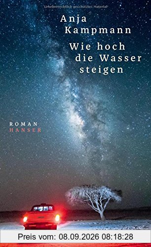 Wie hoch die Wasser steigen: Roman