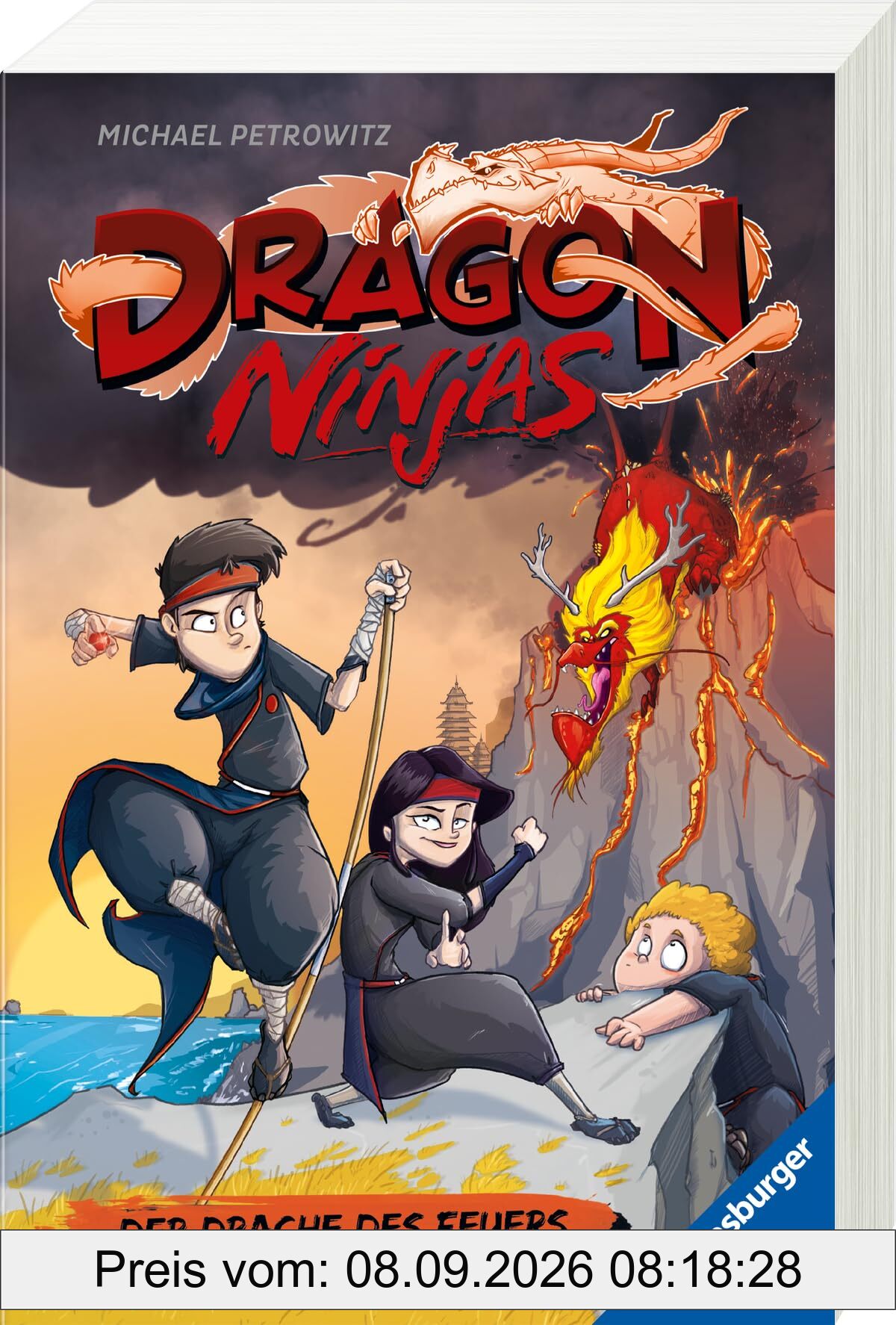 Dragon Ninjas, Band 2: Der Drache des Feuers - Drachenstarkes Kinderbuch ab 8 Jahre - Cooles Geschenk für Jungs und Mädchen (Dragon Ninjas, 2)