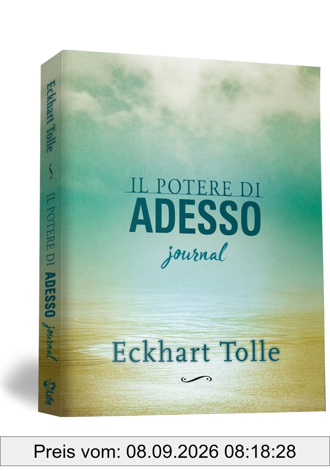 Il potere di adesso. Journal