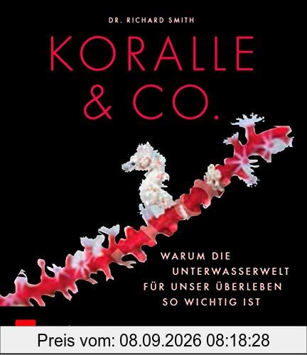 Koralle & Co.: Überlebensstrategien der Unterwasserwelt