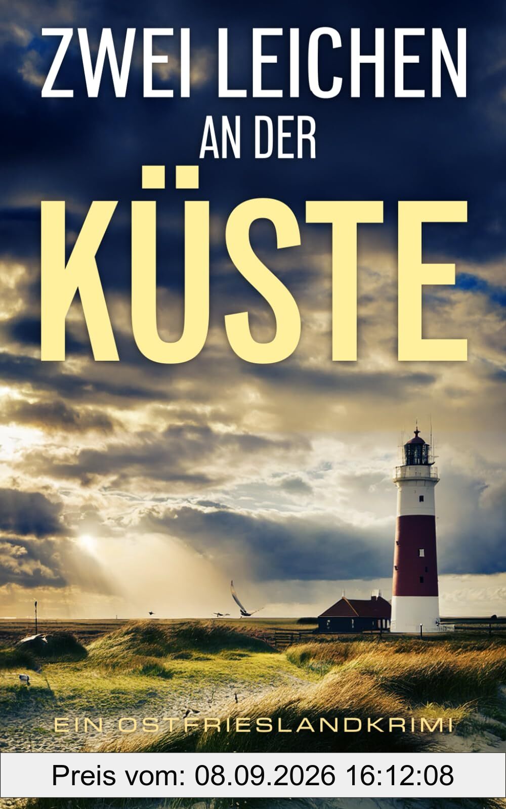 Zwei Leichen an der Küste: Ein Ostfrieslandkrimi (Stein und Martens ermitteln in Ostfriesland, Band 8)