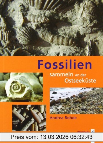 Andrea Rohde Fossilien Sammeln An Der Ostseeküste, Trilobiten, Seeigel, Donnerkeile Und Co. - Fossilführende Gesteine Des Südwestlichen Ostseeraumes