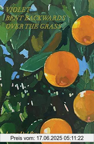 Brand : Simon and Schuster UK, Binding : Gebundene Ausgabe, Edition : 01, Label : Simon + Schuster UK, Publisher : Simon + Schuster UK, medium : Gebundene Ausgabe, numberOfPages : 112, publicationDate : 2020-09-01, releaseDate : 2020-09-29, authors : Lana Del Rey, ISBN : 1471199665