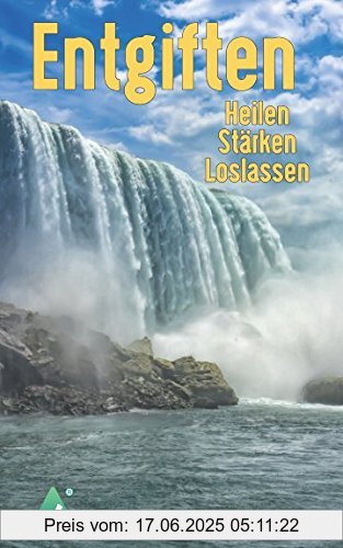Binding : Taschenbuch, Label : Independently published, Publisher : Independently published, medium : Taschenbuch, numberOfPages : 408, publicationDate : 2017-08-21, authors : Fetzner, Dr. Angela, ISBN : 1549554190